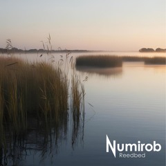 Reedbed