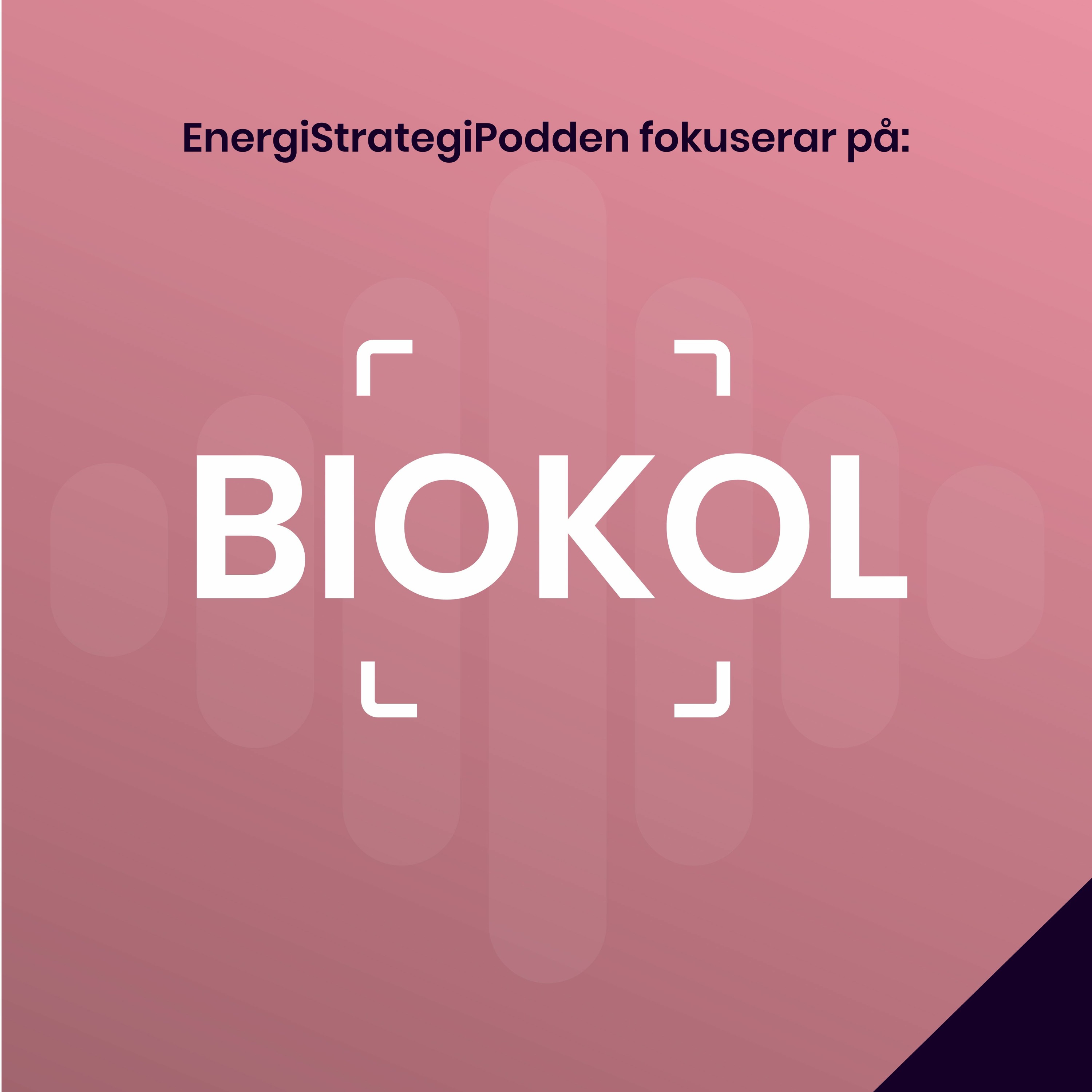 Energistrategipodden