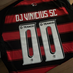 TROPA DO 00 TÁ VINDO - DJ VINICIUS SC