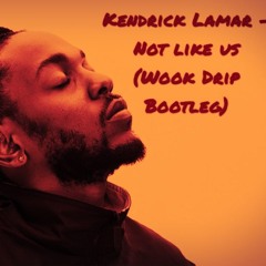 Kendrick Lamar- They Not Like Us (Wook Drip Bootleg)