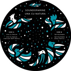 Soundopamine  - Una Cu Natura EP (Harrison bdp & Swoy Remixes) - EPV003