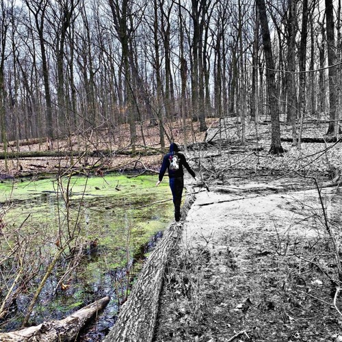 CRASH AND LAUGH prod (bonnierogerr‬)