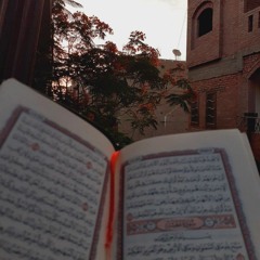 ركنٌ هادئ✨