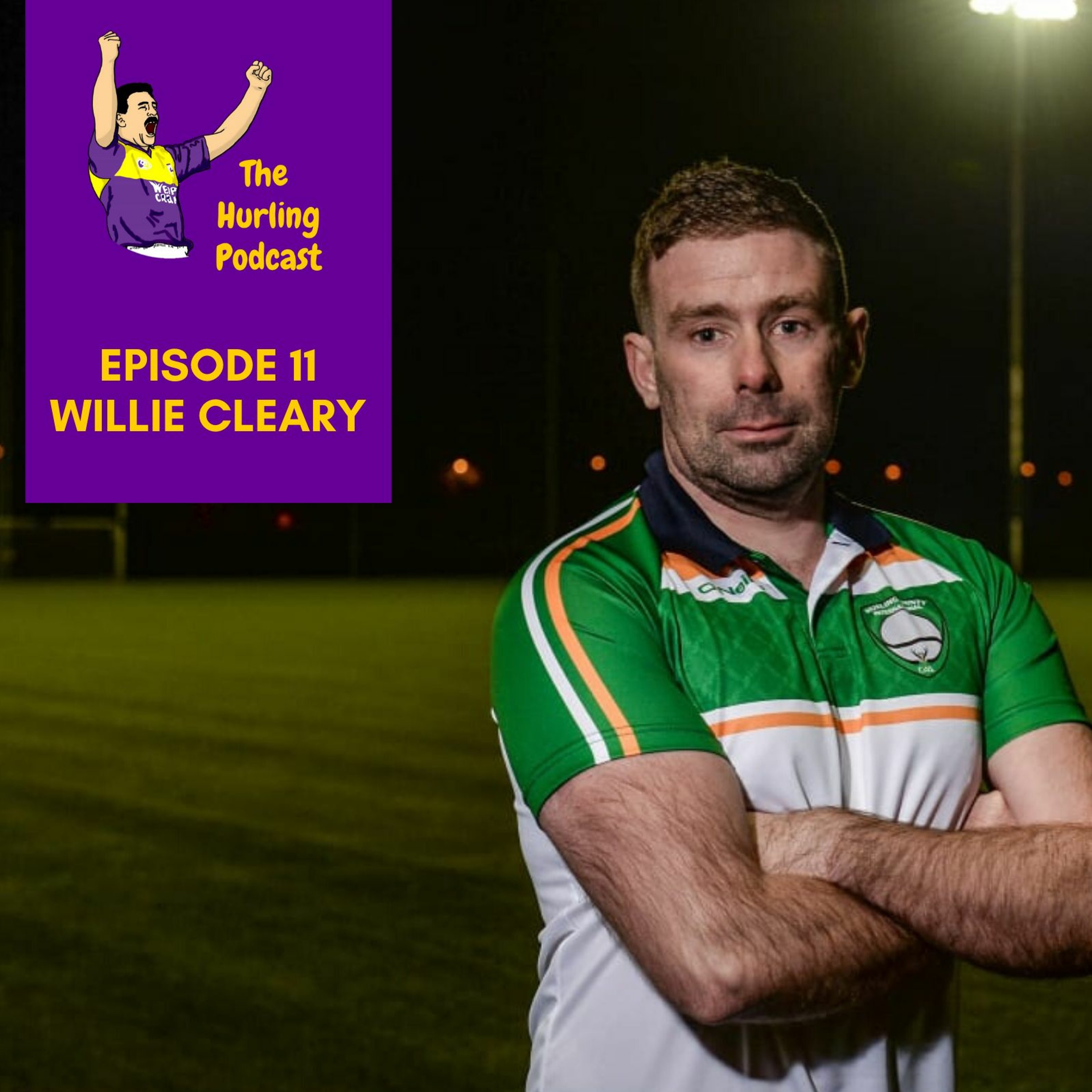The Wexford Hurling Podcast