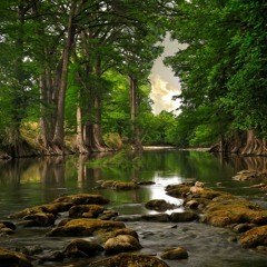 Debbie D Sound Your Funky Horn (Extended Club Mix)