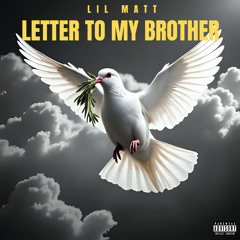Letter To My Brother(Bro Speaks)
