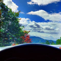 I Live, I Love, Vice Versa