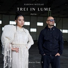 Trei în lume (feat. Puya)