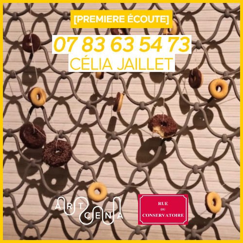 Lecture - « 07 83 63 54 73 » de Célia Jaillet