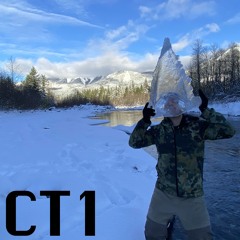 Cruel Technologies CT1  :  Identity Theft