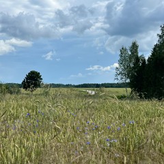 Latvia Sound Journal #1