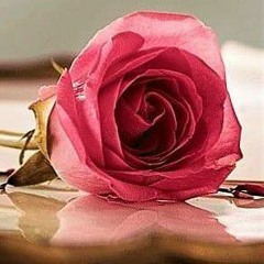 | ramaiya vastavaiya | maine dil tujhko diya | genda phool |