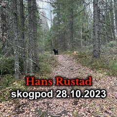 Skogpod 28. oktober 2023