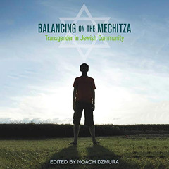 [GET] EPUB 📒 Balancing on the Mechitza: Transgender in Jewish Community by  Noach Dz
