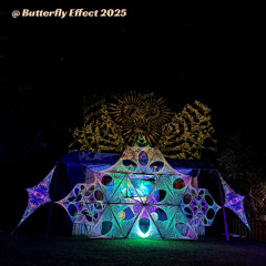Butterfly Effect 2025