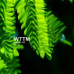 WTTM |Komorebi Podcast Series #11