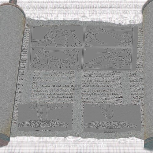 perdon por no haberte comprado una hijab