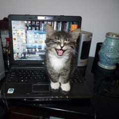 FEMTOGO x notinbed - lethargic state should have been here