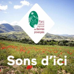 Sons d'ici