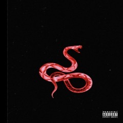 SNAKE (Rough Draft)