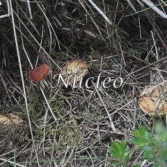 Plegaria desde un hospital (Interludio; buenas intenciones)