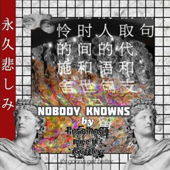 Nobody Knows ft. Grizzley (Prod. NetuH)