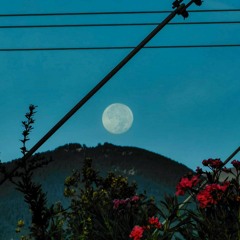 Arctic Monkeys X Kali Uchis - I Wanna Be Your Moonlight