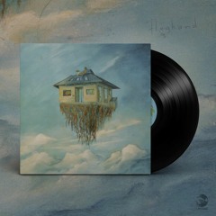 Flughand - feguro (Vinyl order in description)