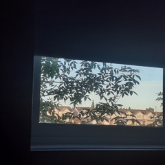 Early Morning Light