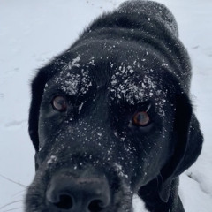 moonlight song, blaze foley