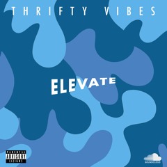 Thrifty Vibes Elevate