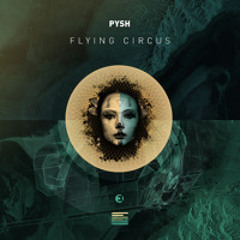 Pysh - This Is Madness