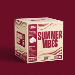 Summer Vibes | 4x music beds (EDM)