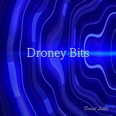 Droney Bits