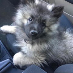 LesPlayAideA_vAncer+Surtout_Grace-a^Toi (6) SAFET SUSIC