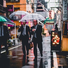 A Deluge of Suits