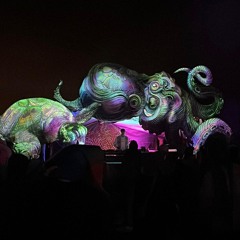 Archaic Festival 2024 (forest mix)