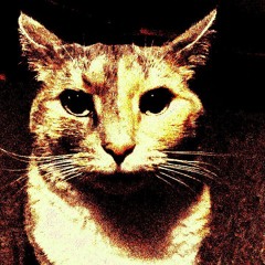 Not a New Jazz but is Chilling.mp3