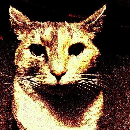 Not a New Jazz but is Chilling.mp3