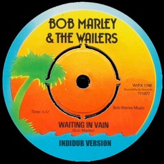 "WAITING IN VAIN" - Bob Marley by IndiDub