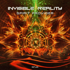 Invisible Reality - Spirit Provider | OUT NOW 🐝🎶