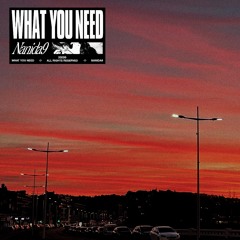 WHAT YOU NEED