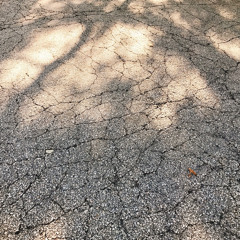 콘스탄트 220718