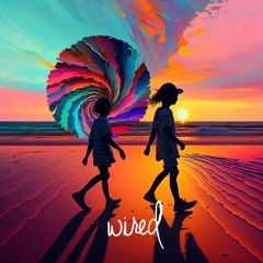 Os Tincoãs - Deixa A Gira Girar (The Wild Child & Habibi Jam Remix) Free Download