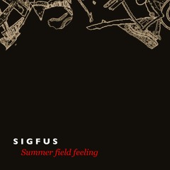 Summer field feeling
