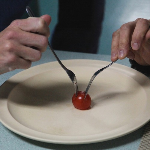 mark and tom - last tomato