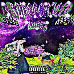 GRAPEGORILLARUNTZ! [PROD M!ST]