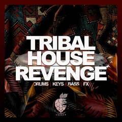 LS037 Tribal House Revenge