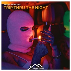 Sasha PRimitive - Trip Thru The Night