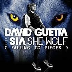 She Wolf vs Outside || MASHUP || David Guetta vs Calvin Harris